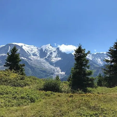 Centre 1 Piece+ Coin Montagne Apartmán Chamonix