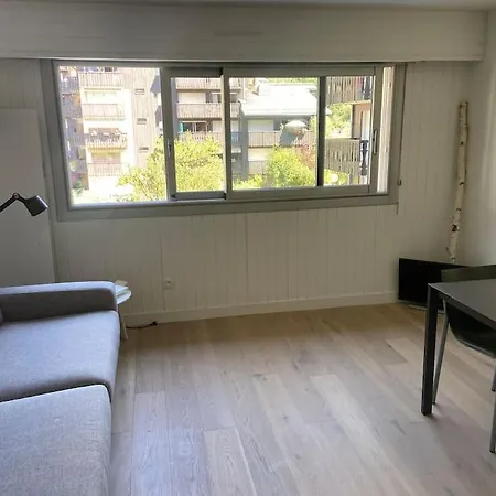 Apartment Centre 1 Piece+ Coin Montagne *