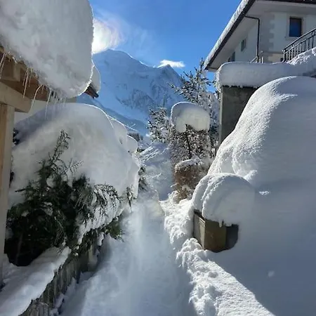 Centre 1 Piece+ Coin Montagne Apartment Chamonix