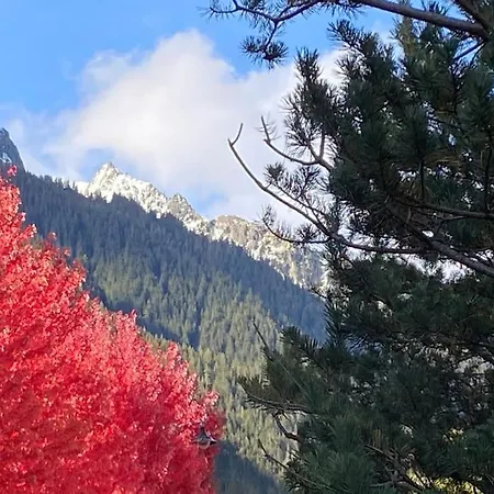 Centre 1 Piece+ Coin Montagne * Chamonix