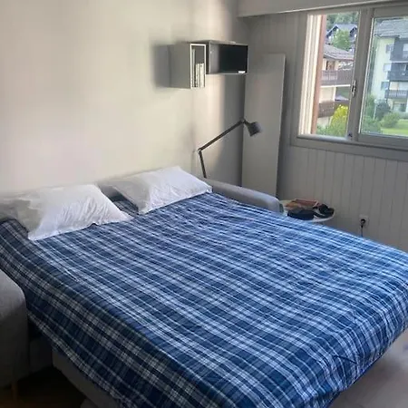 Centre 1 Piece+ Coin Montagne * Chamonix