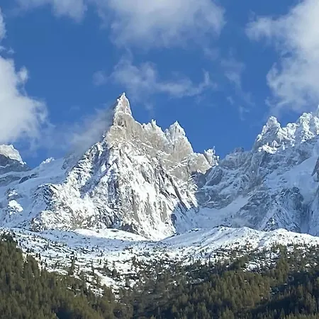 Centre 1 Piece+ Coin Montagne Chamonix